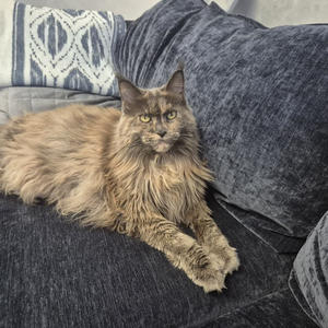 Путешествия