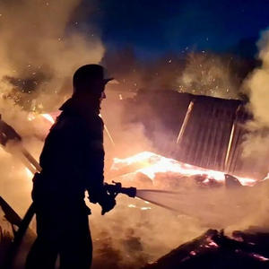 Пожар в деревне Ананьино: больше 40 животных погибли в хозяйственной постройке