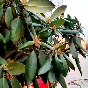 Всякое разное