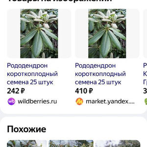 Всякое разное