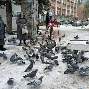 Братья меньшие