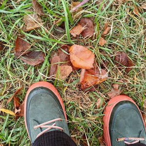 Всякое разное