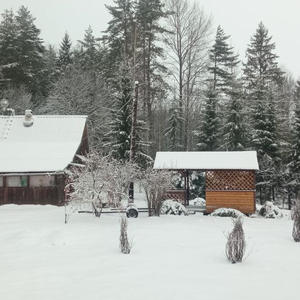 Всякое разное