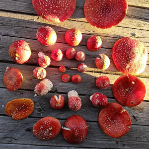 Вкуснотень