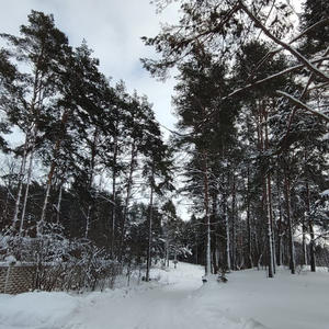 Про Селигер