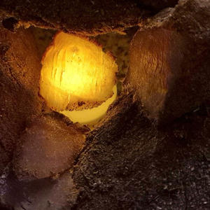 Вкуснотень