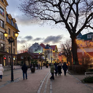 Путешествия