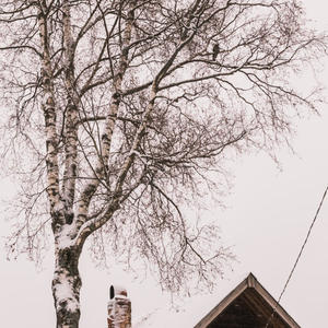 Про Селигер