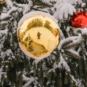 Зеркало зимы в золотом шаре