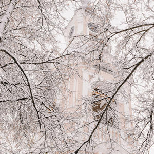 Белые ветви, белый шпиль