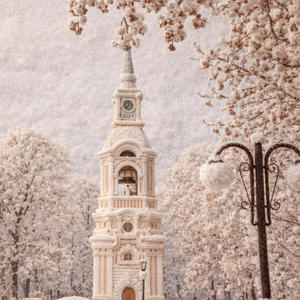 Про Селигер