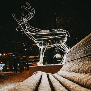 МТС улучшила связь на Селигере и в Осташкове