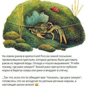 Вкуснотень