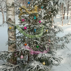 Всякое разное