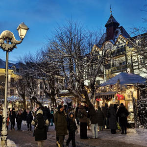 Путешествия