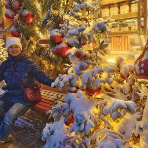 Путешествия