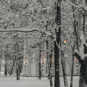 Про Селигер