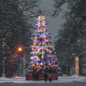 Про Селигер