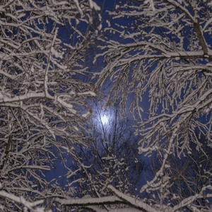 Про Селигер