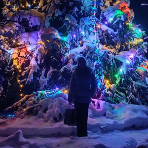 Про Селигер