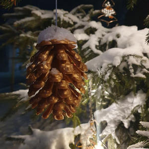 Про Селигер