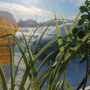 Про Селигер