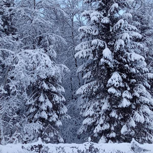 Про Селигер