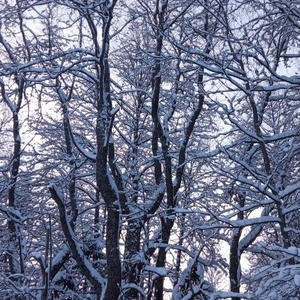 Про Селигер