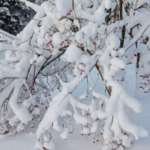 Про Селигер