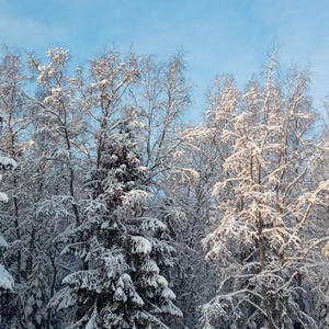 Про Селигер