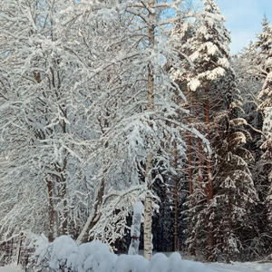 Про Селигер