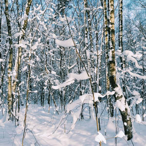 Всякое разное