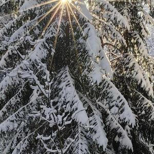 Про Селигер