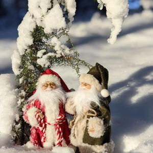 Снеговой аркад в лесу