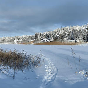 Про Селигер