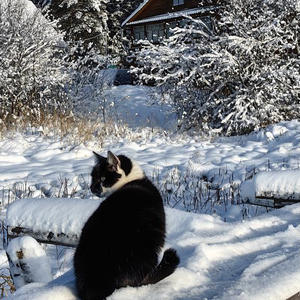 Про Селигер