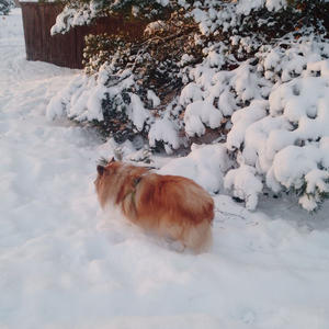 Про Селигер