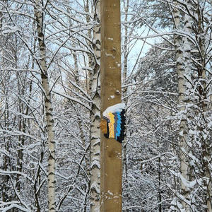 Путешествия