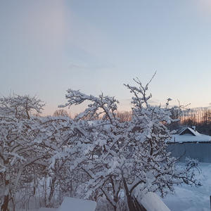 Про Селигер