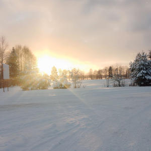 Братья меньшие