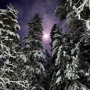 Про Селигер