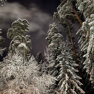 Про Селигер