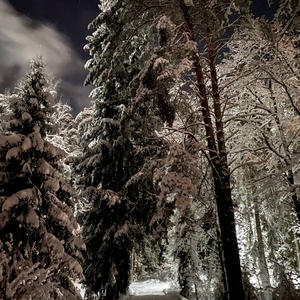 Про Селигер