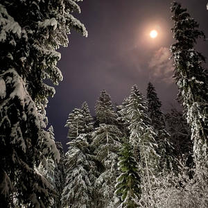 Про Селигер