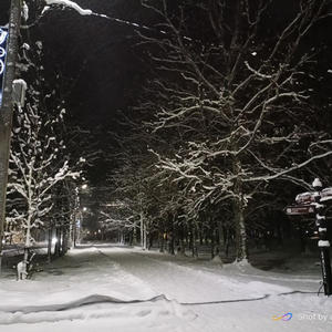 Про Селигер