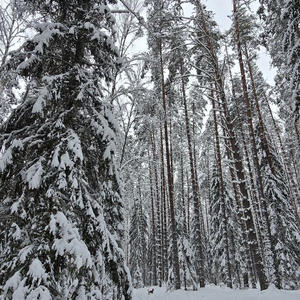 Про Селигер