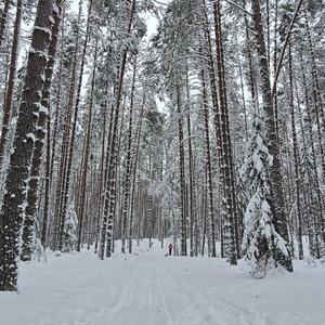 Про Селигер