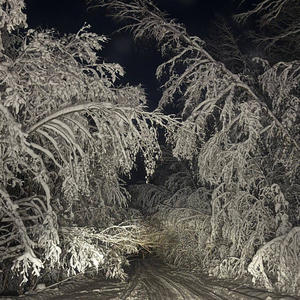 Про Селигер