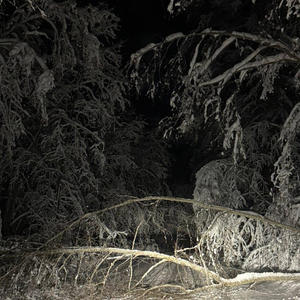 Про Селигер