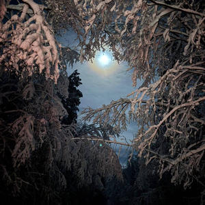 Про Селигер